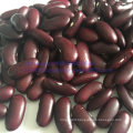 Top Quality Dark Red Kidney Bean Health Food